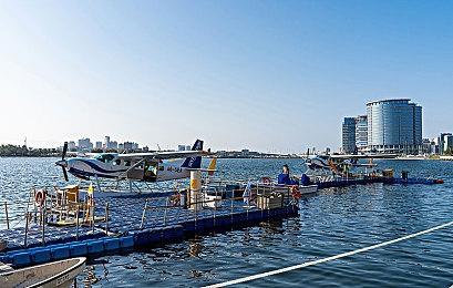 《合金装备3：重制版》伊娃美图及介绍 没ZZZQ真好