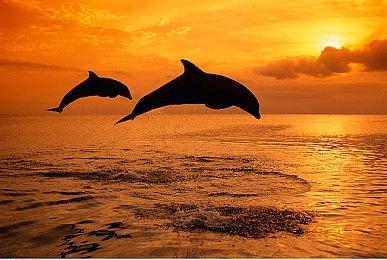 《无名九使：觉醒》Steam销量才一万份 万代真亏死了